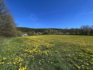 Prodej zemědělské půdy, Kájov - Staré Dobrkovice, 15428 m2