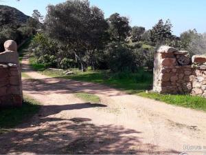 Prodej rodinného domu, Trinità D'Agultu, Sardinie, Itálie, 100 m2