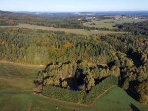 Prodej pozemku, Benešov nad Černou - Klení, 6805 m2