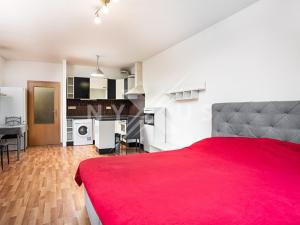 Prodej bytu 1+kk, Praha - Záběhlice, Na Slatince, 38 m2