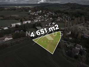 Prodej pozemku pro bydlení, Mladějov, 4651 m2