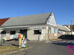 Prodej obchodního prostoru, Březí, Hlavní, 384 m2