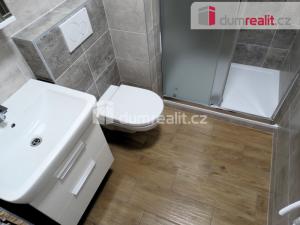 Pronájem bytu 1+1, Otrokovice, Školní, 30 m2