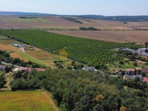 Prodej rodinného domu, Ořechov, Tikovická, 202 m2