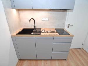 Pronájem bytu 1+kk, Praha - Podolí, Sinkulova, 27 m2