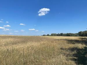 Prodej zemědělské půdy, Snědovice, 22212 m2