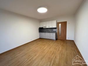 Pronájem bytu 1+kk, Lanškroun, Na Slovanech, 29 m2