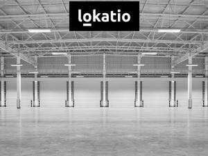 Pronájem výrobních prostor, Brno, 5000 m2