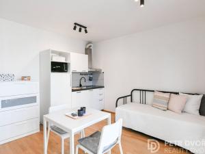 Prodej bytu 1+kk, Praha - Žižkov, Olšanská, 36 m2