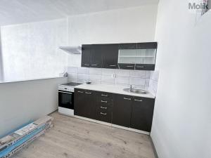 Pronájem bytu 3+kk, Duchcov, Havířská, 70 m2