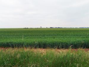 Prodej zemědělské půdy, Vodochody, 12333 m2