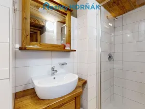 Prodej rodinného domu, Černá v Pošumaví - Bližná, 340 m2