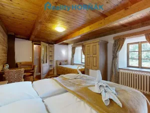 Prodej ubytování, Černá v Pošumaví - Bližná, 340 m2