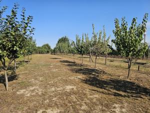 Prodej rodinného domu, Hodonice, Nádražní, 85 m2