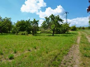 Prodej pozemku pro bydlení, Třebenice, 5800 m2