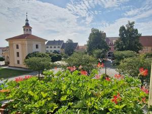 Pronájem bytu 1+1, Benátky nad Jizerou, Husovo náměstí, 70 m2