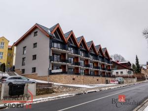 Prodej bytu 1+kk, Železná Ruda, Javorská, 65 m2