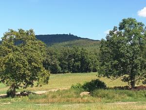 Prodej pozemku pro bydlení, Louňovice pod Blaníkem, 1056 m2