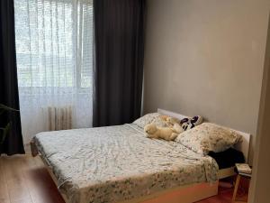 Pronájem bytu 3+1, Zruč nad Sázavou, Na Pohoří, 72 m2