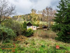 Prodej chalupy, Lázně Bělohrad - Uhlíře, 200 m2