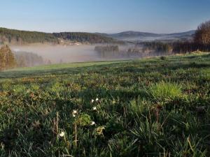 Prodej pozemku pro bydlení, Stožec - České Žleby, 1412 m2