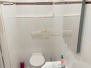Pronájem bytu 1+kk, Praha - Libeň, Pod Labuťkou, 19 m2