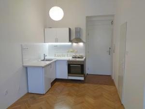 Pronájem bytu 1+kk, Praha - Libeň, Pod Labuťkou, 19 m2