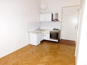 Pronájem bytu 1+kk, Praha - Libeň, Pod Labuťkou, 19 m2
