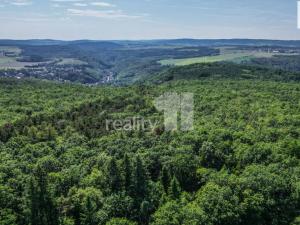 Prodej pozemku pro bydlení, Březová-Oleško, Oblouková, 1236 m2