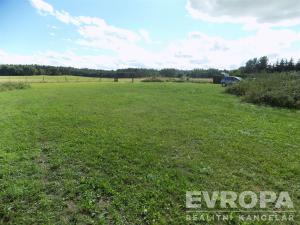 Prodej zahrady, Bělušice, 4787 m2