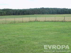 Prodej zahrady, Bělušice, 4787 m2