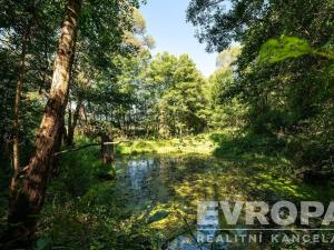 Prodej pozemku pro komerční výstavbu, Kájov - Lazec, 10136 m2