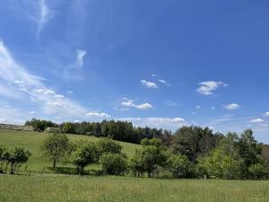 Prodej pozemku pro bydlení, Chocnějovice, 2500 m2