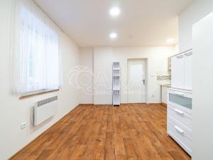 Prodej bytu 1+kk, Odolena Voda, Na Štěpnici, 30 m2