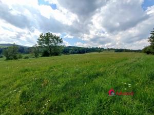 Prodej zemědělské půdy, Bílá Voda, 21071 m2