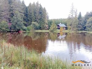 Prodej zemědělské usedlosti, Horní Radouň - Starý Bozděchov, 1600 m2