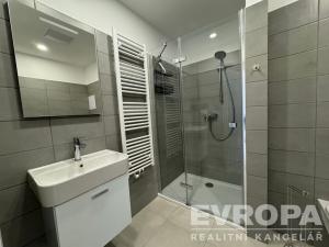 Pronájem bytu 1+kk, Plzeň - Újezd, Safírová, 30 m2