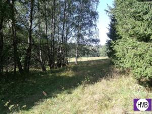 Prodej trvalého travního porostu, Horní Planá, 5793 m2