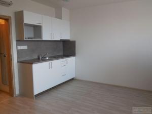 Pronájem bytu 1+kk, Brno - Slatina, Tilhonova, 30 m2