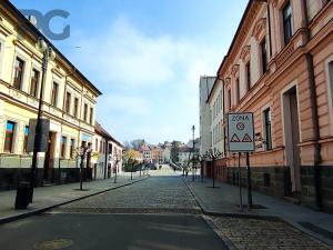 Pronájem restaurace, Písek, třída Národní svobody, 100 m2