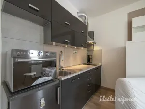 Pronájem bytu 1+kk, Praha - Jinonice, Kačírkova, 31 m2