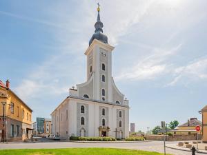 Prodej obchodního prostoru, Javorník, Polská, 100 m2