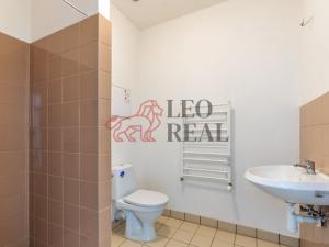 Pronájem bytu 1+kk, Strašice, 28 m2