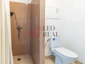 Pronájem bytu 1+kk, Strašice, 28 m2