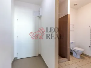 Pronájem bytu 1+kk, Strašice, 28 m2