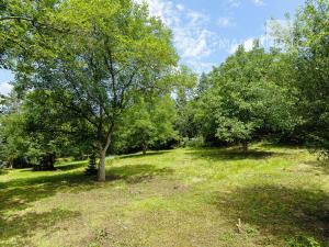 Prodej pozemku pro bydlení, Roztoky, V Úvoze, 3034 m2