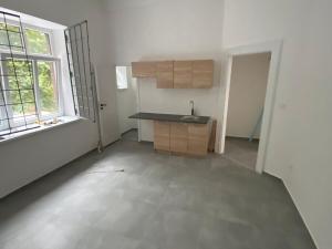 Pronájem obchodního prostoru, Český Těšín, Havlíčkova, 55 m2