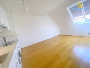 Pronájem bytu 2+kk, Praha - Nové Město, Lublaňská, 38 m2