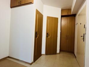 Pronájem bytu 3+kk, Ostrava - Poruba, Průběžná, 62 m2