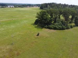 Prodej lesa, Chlum u Třeboně - Žíteč, 220000 m2